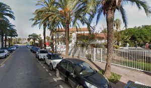 CONTROLE TECHNIQUE DES PALMIERS à Hyères