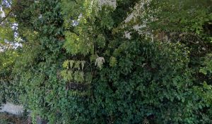 Centre contrôle technique DEKRA à Brignoles