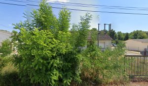 Sécuritest Contrôle Technique Automobile MIGENNES à Migennes