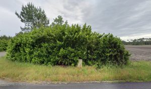 DEKRA Poids Lourds à Saint-Vincent-de-Tyrosse