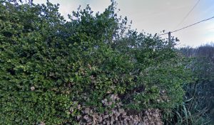 AS Autosécurité Contrôle Technique GEMENOS. AUBAGNE. à Gémenos