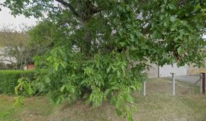 Sécuritest Contrôle Technique Automobile BOULLERET à Boulleret