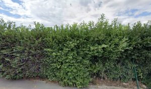 Centre contrôle technique NORISKO à Claye-Souilly