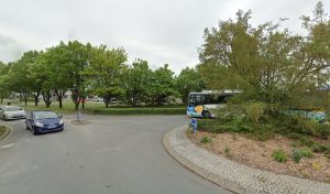 Savelys à Saint-Jean-de-Braye