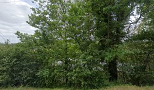 Centre contrôle technique DEKRA à Vézelise