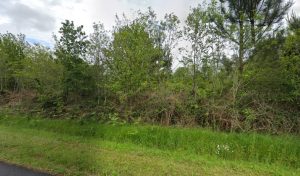 BOXERAUTO – 40120 à Lacquy