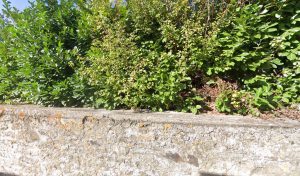 Centre contrôle technique AUTOCONTROL à Boulieu-lès-Annonay