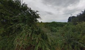 Contrôle Technique Auto Bilan Mélusin à Rouillé